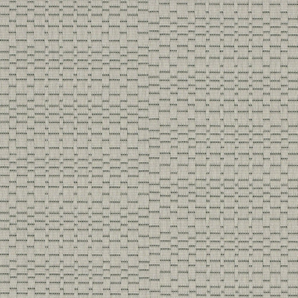Stimuli