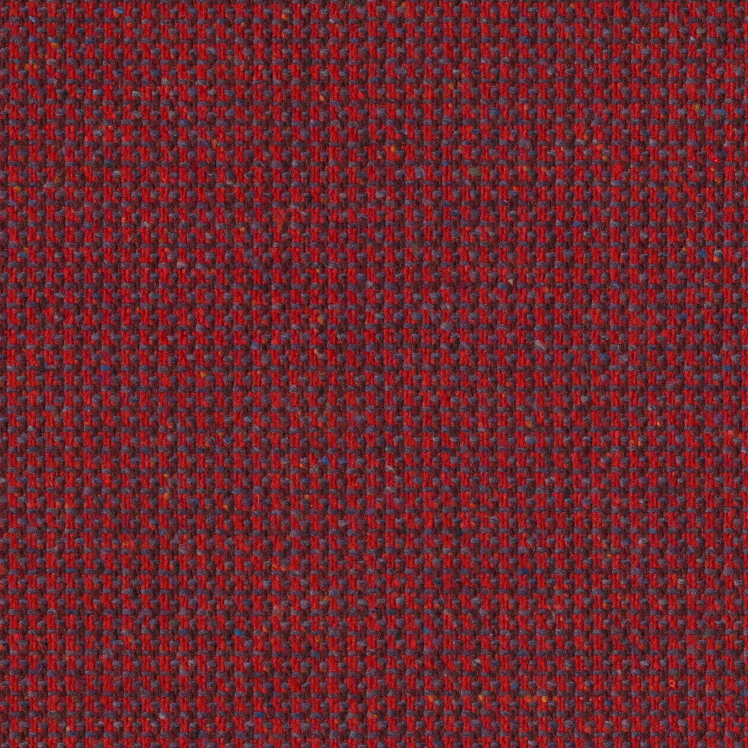Graph Speck