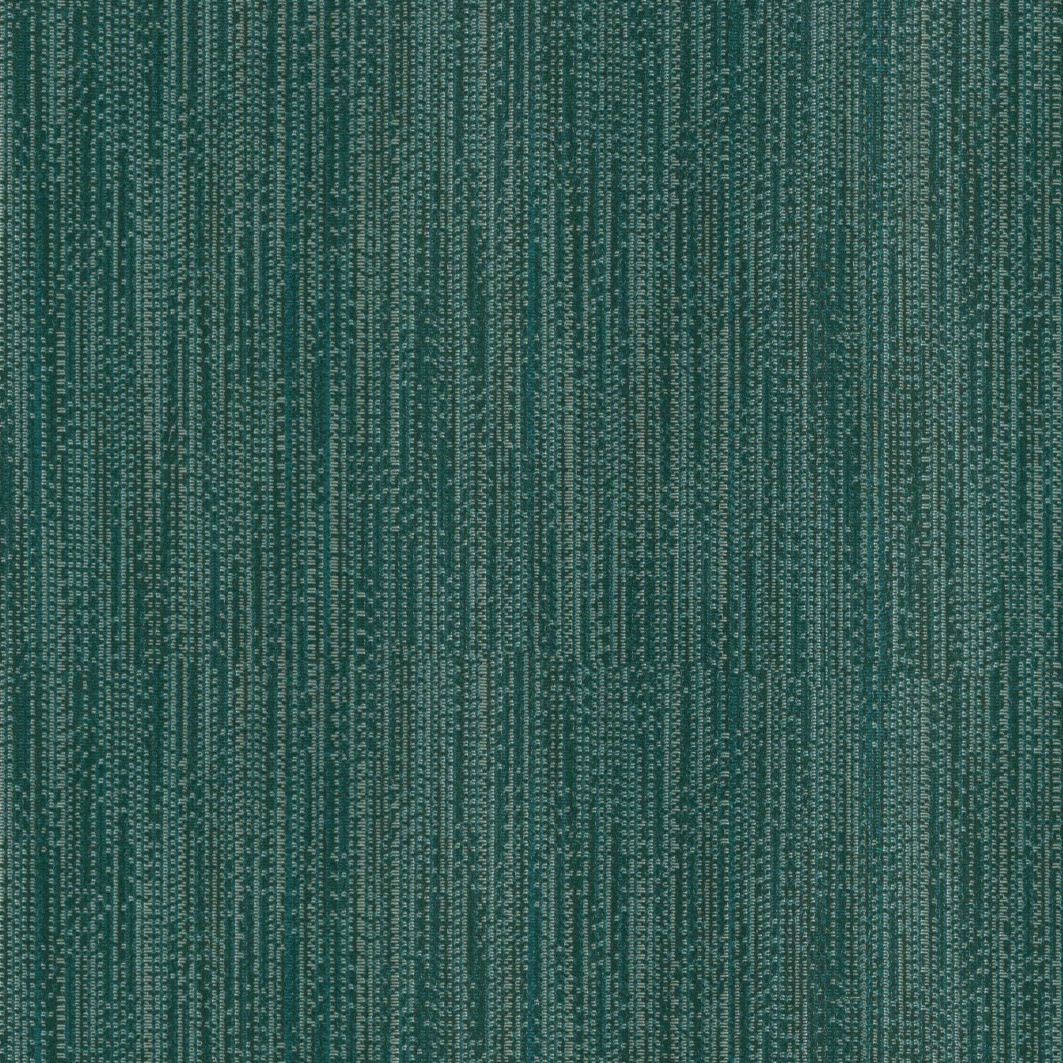 Graticule