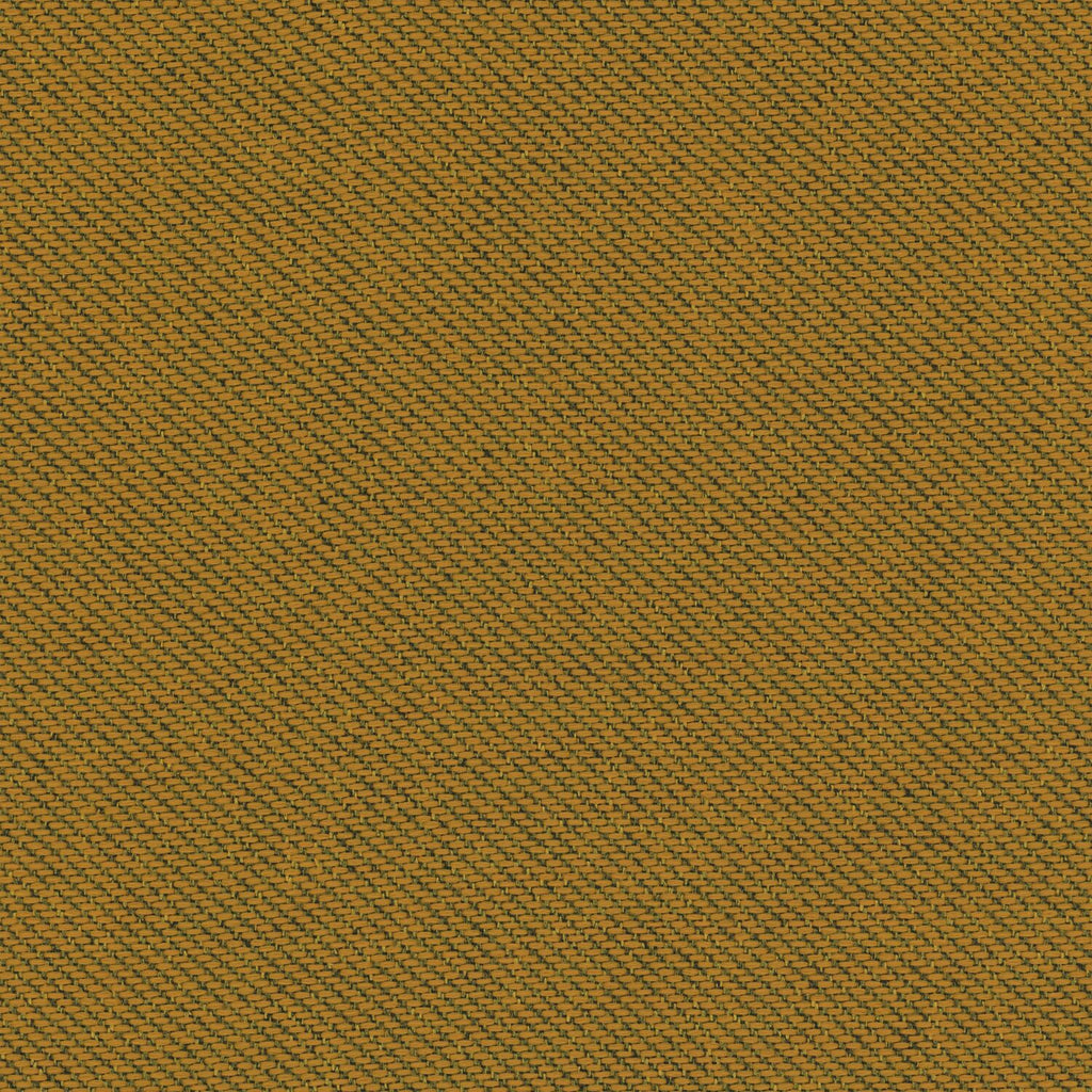 Ecotone