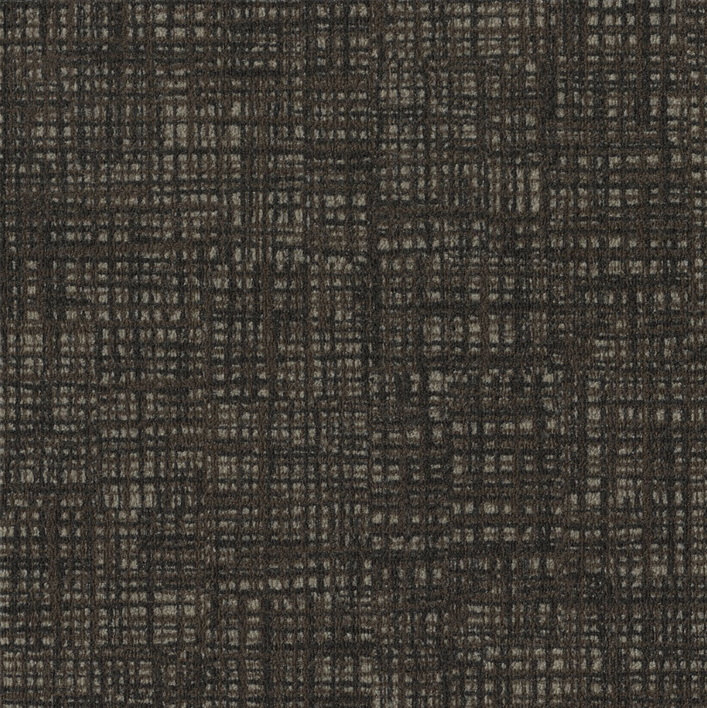 Cloth