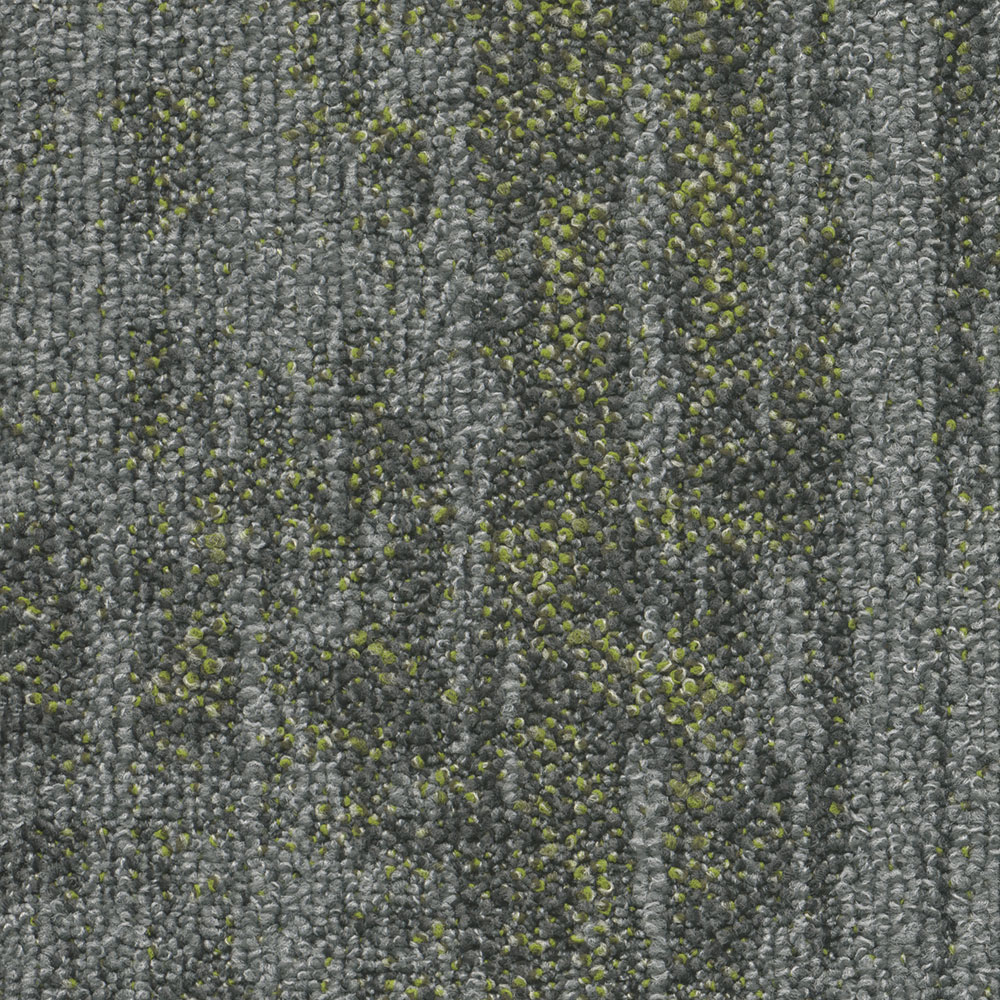 Distortion