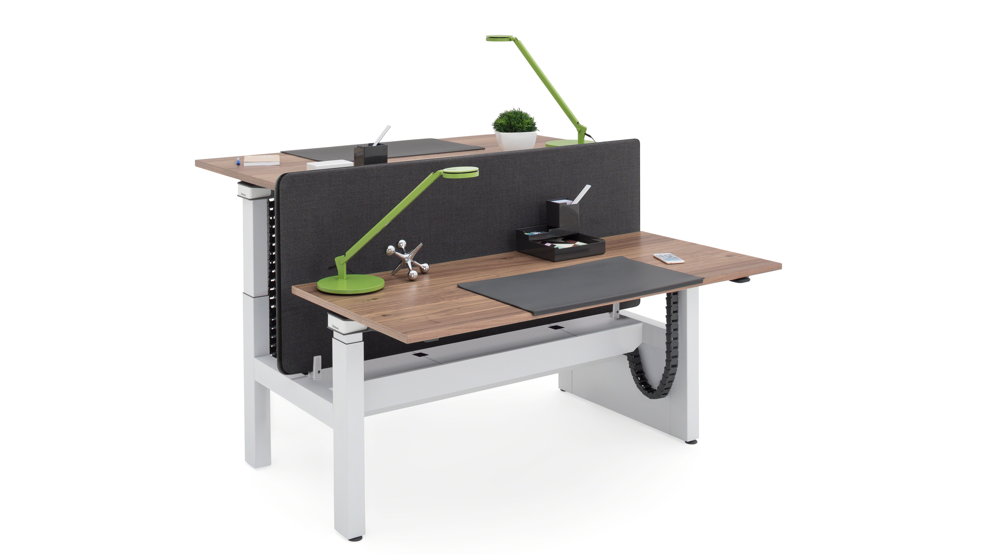 Ology Bench - EMEA
