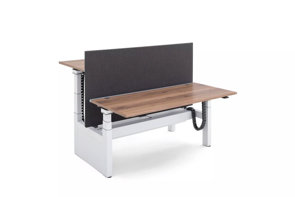 Ology Bench - AMER