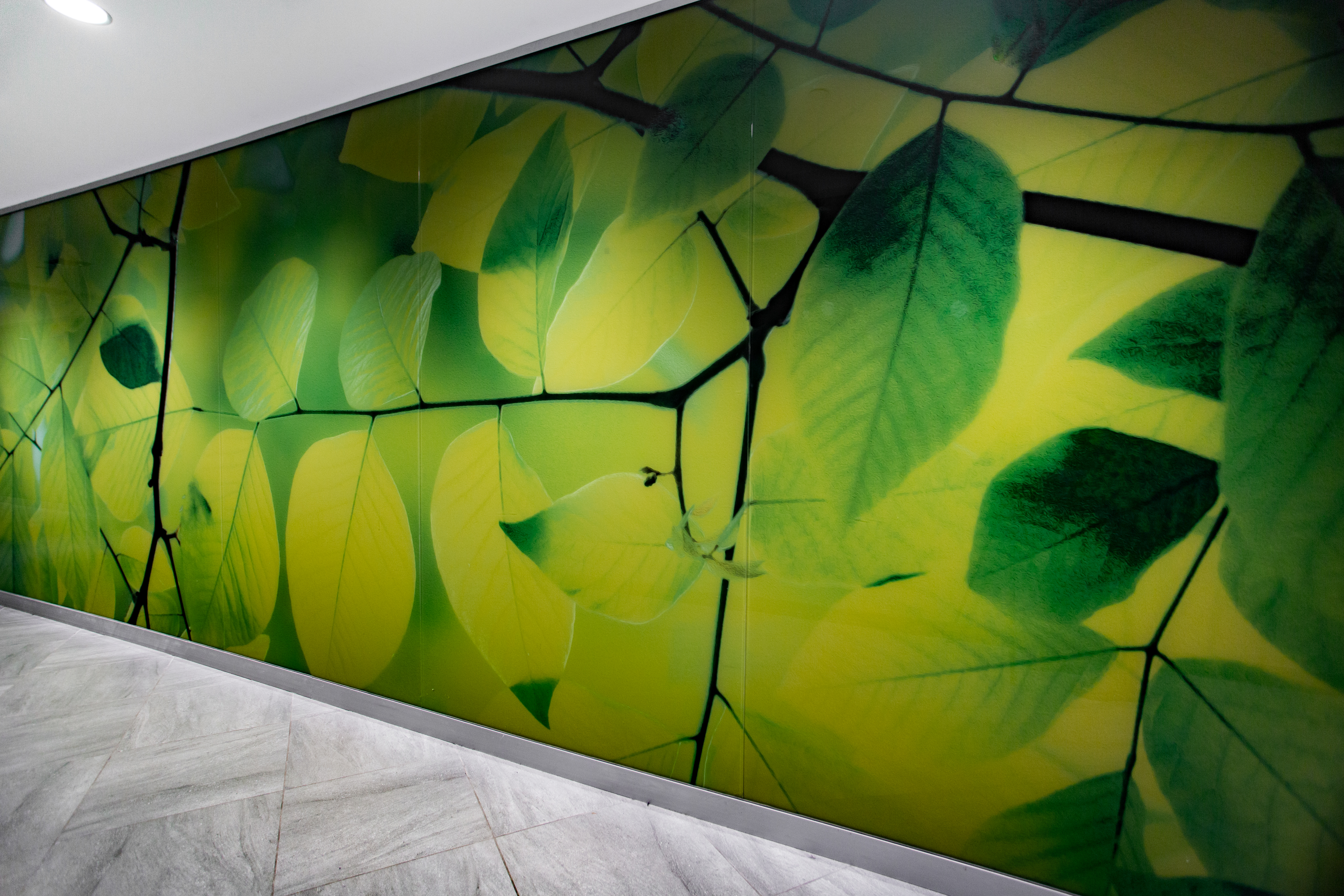 MONOLITHIC GLASS