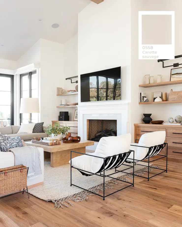 PROLINE PVA Interior Paint 60206008752